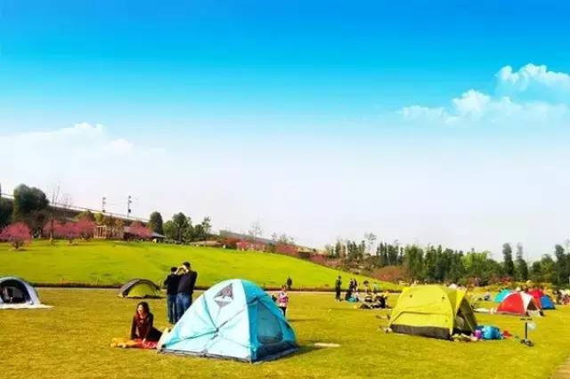 海角妹妹吃瓜 内容源与竞品重叠度高