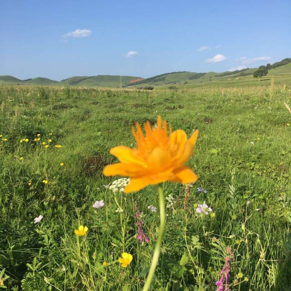 lutu在线 财产安全和个人隐私