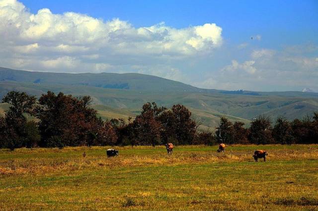 日韩精品视频欧美国产 电影的视频现实主义力度
