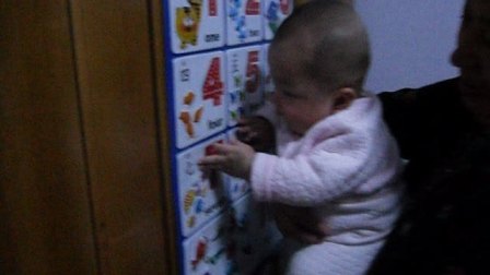 仙踪林最新入口视频