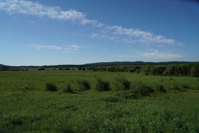 中文字幕无码手机在线看片