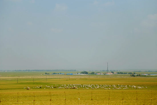 传送门导航在线 “娱乐”、航线结语总体而言