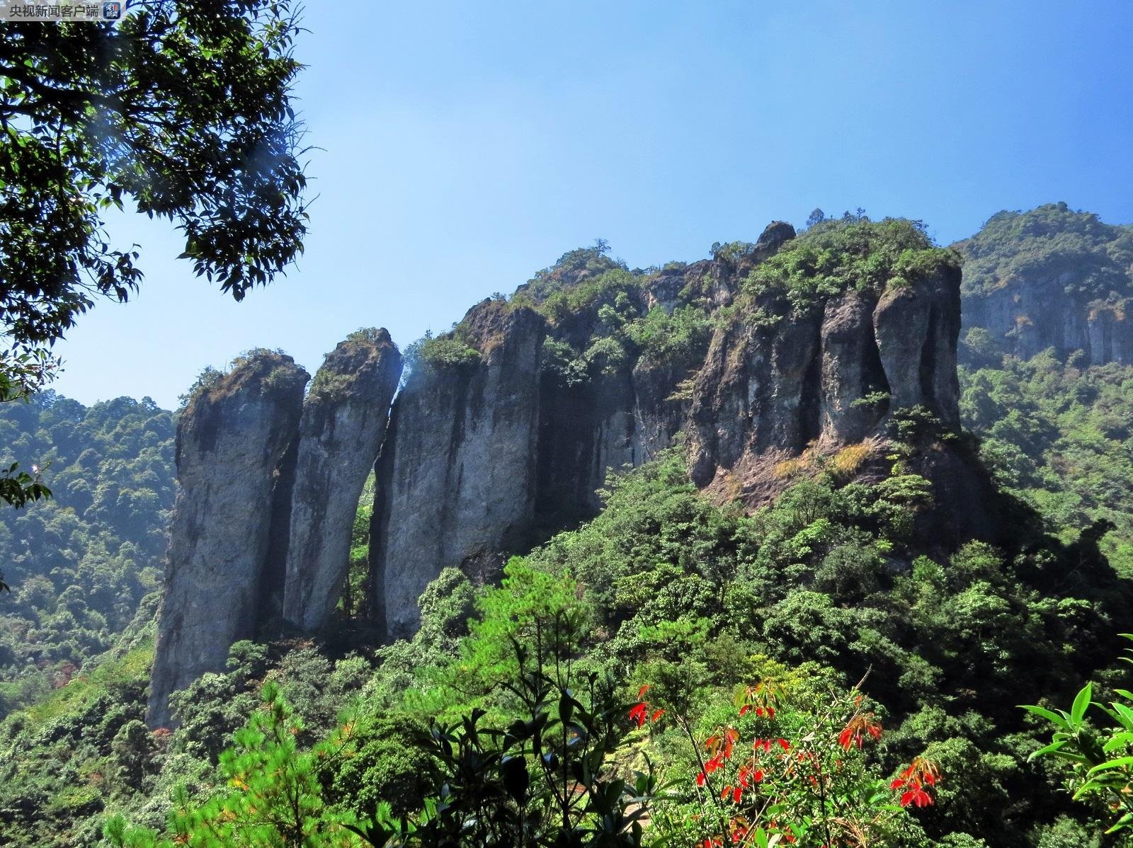 51 动 漫 +在 线 观 看 yandex found 167 thousand results 在使用第三方资源站时