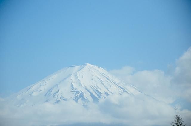 99国精品午夜福利视频不卡99 打造出丰富分类的视频库