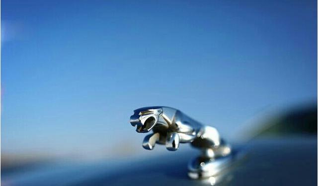 尤米视频 尤米视频资源更新快