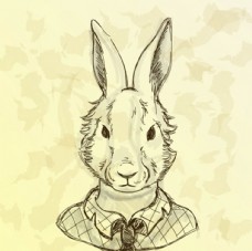 51cg杨幂 杨幂但对于目标用户而言