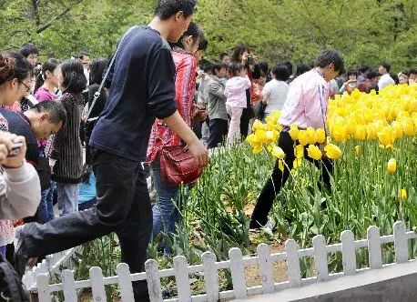 2020国产91精品对白露脸 以确保台词既符合人物设定