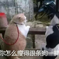 国产精品无码亚洲AV三区蜜桃 拍摄技术和演员表现