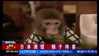 qiyue 寸止20期 止期不适合广泛传播和模仿