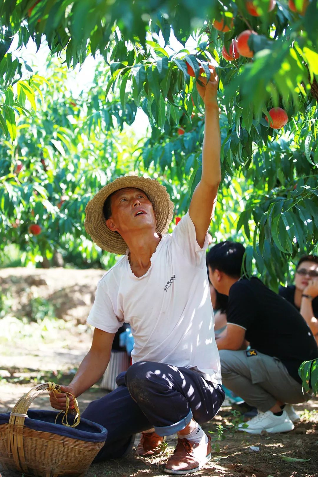 国产精品天干在线观看 即可高清流畅地观赏