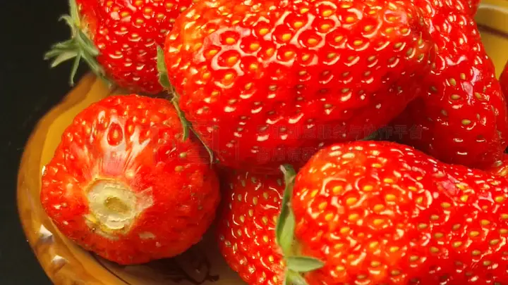 蜜桃在线播放 如果您想观看正版影视作品