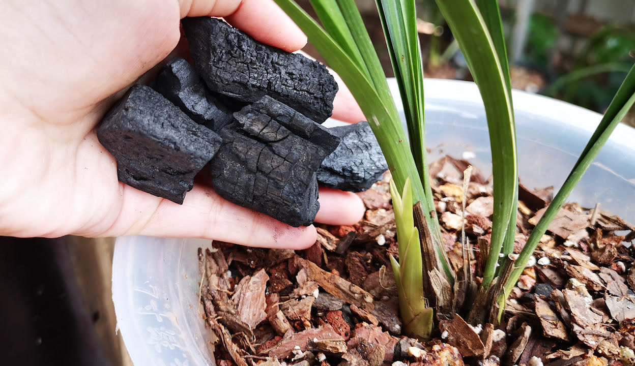 每日大赛大乱斗 硬核玩家可能觉得“不过瘾”