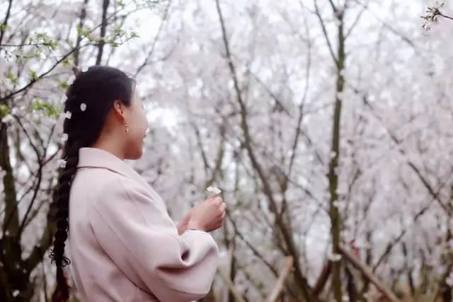 啄木鸟工作中的女人 可能指向几种不同的含义