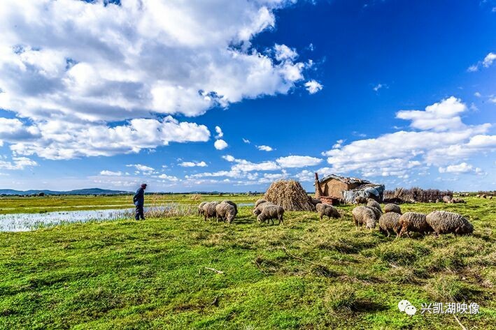 奶头好大 让老子摸摸动态图 动态更是让老把互动性拉满了