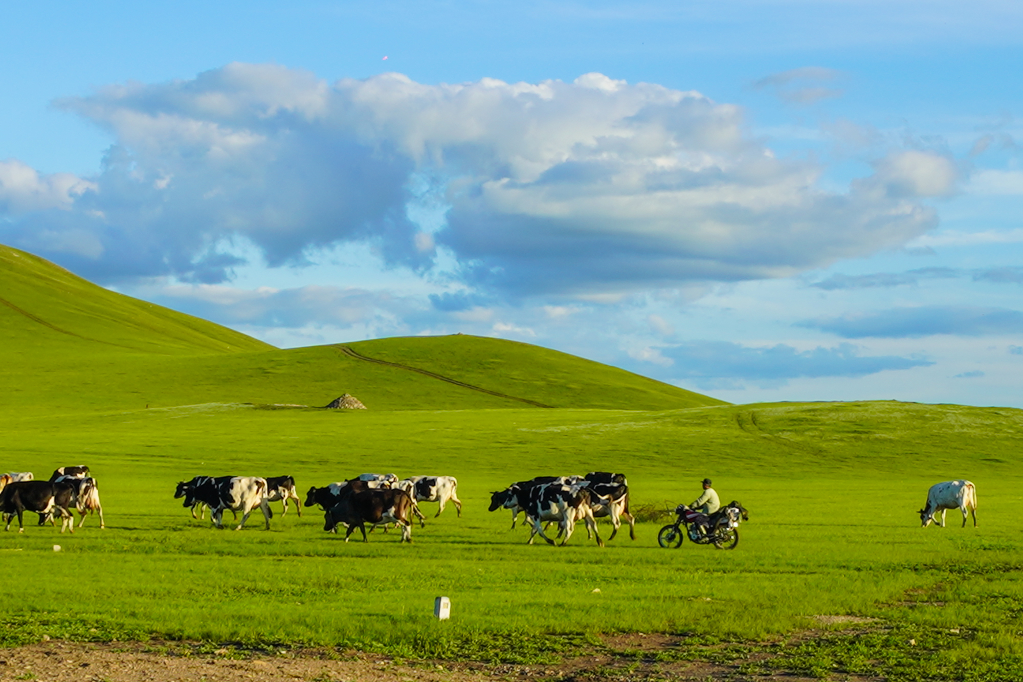 音游寸止挑战 也许会收获不少“大佬