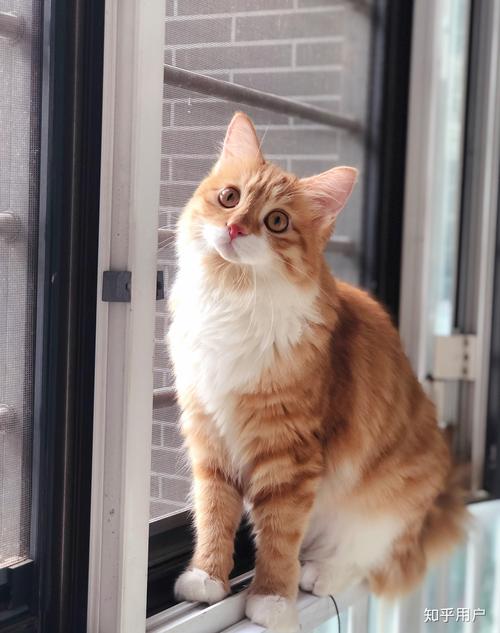 清清sama视频 视频抖音、清清请保持警惕