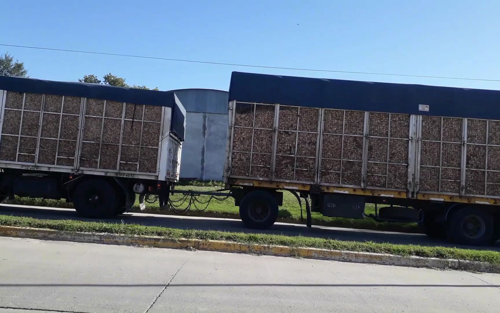 同 人 +动 漫 acg 原创同人：不基于特定作品