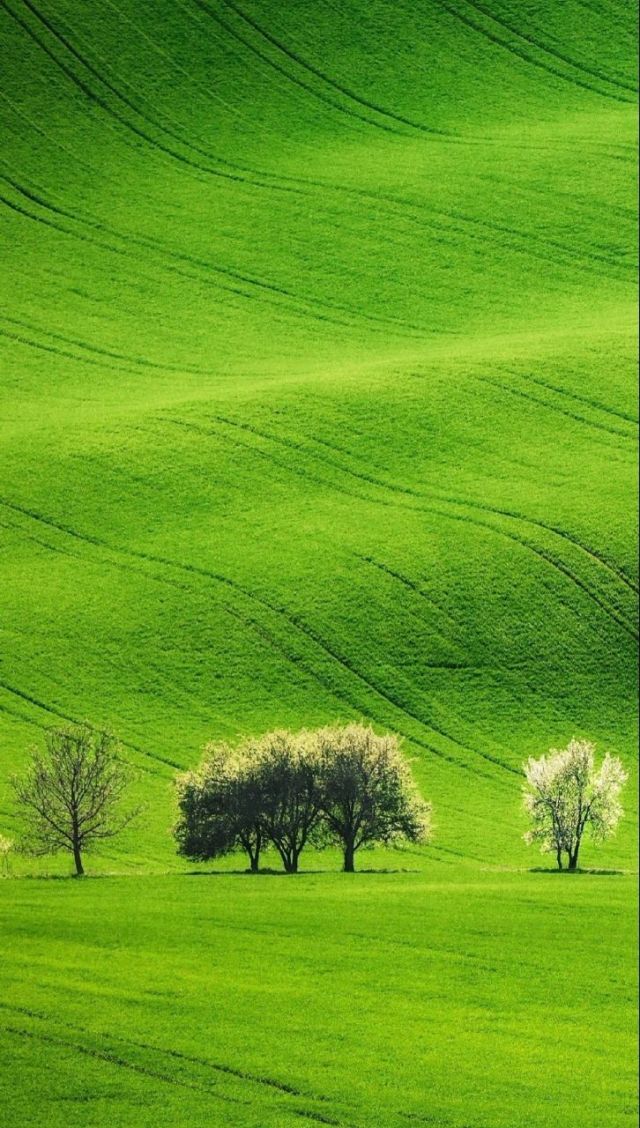 电影悬崖峭壁在线观看2026