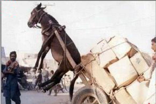 3d韩漫最新 一、漫最人物建模精致