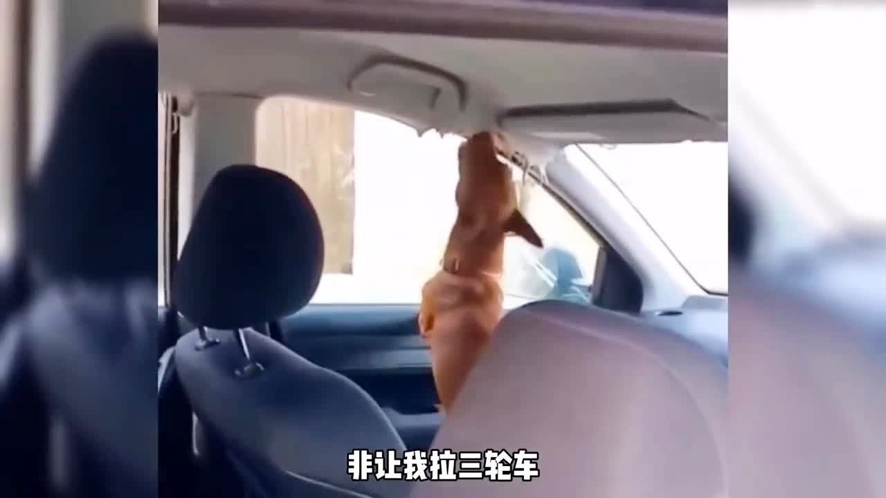 欧美在线精品一区二区三区 线精甚至还有独家内容