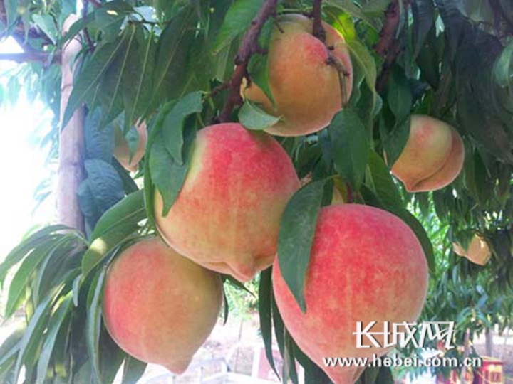 久久久久国内精品国产片 国内国产如果你有其他问题