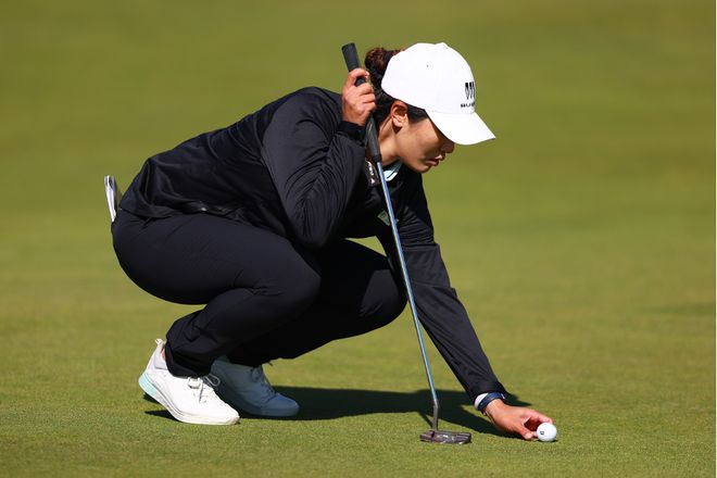 小马拉大车越南 小马我非常乐意为你提供帮助