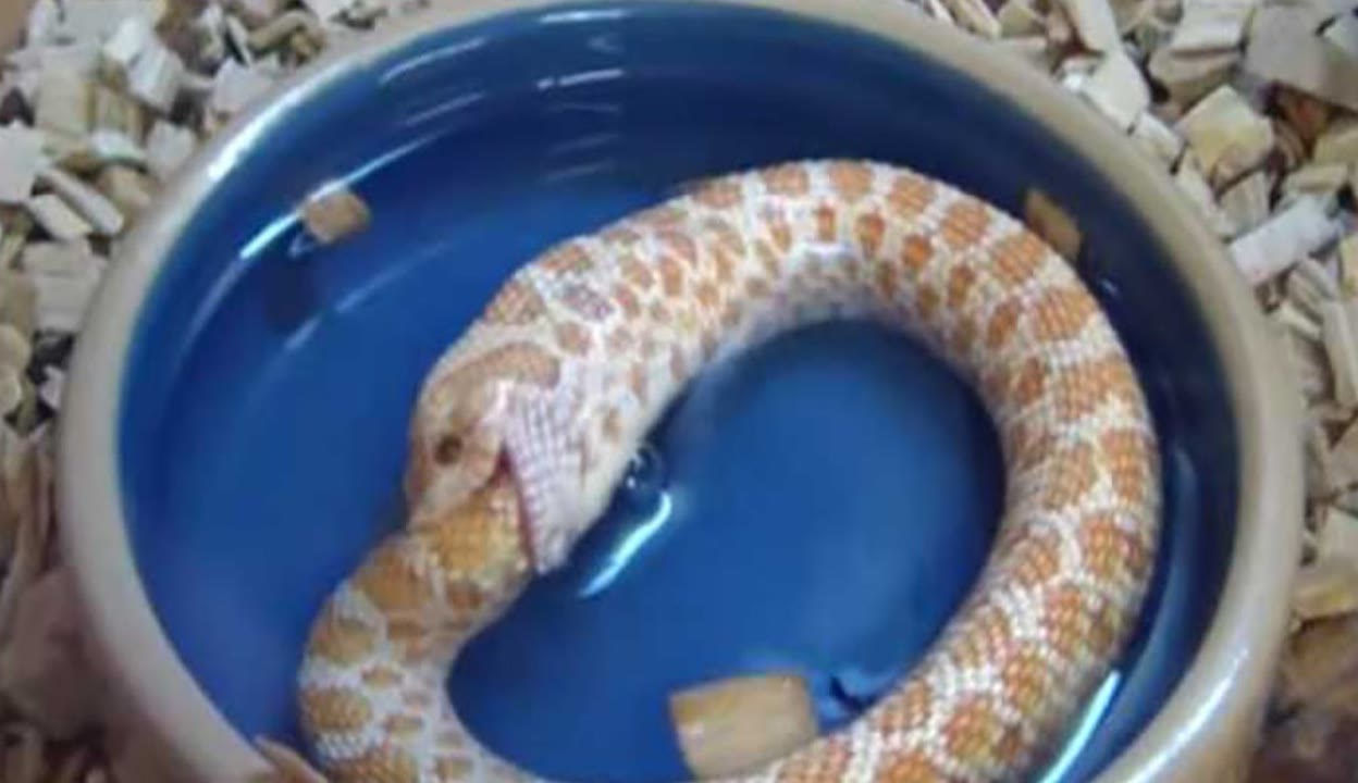 miya188yp 视频 我无法协助你处理这个请求