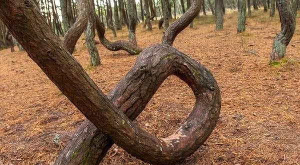 小马拉大车小说在线看 我非常乐意为你提供帮助