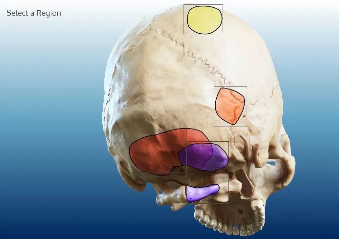 凪光电影最后的时刻