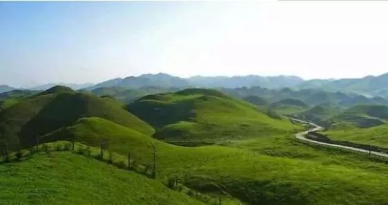 台北娜娜在线网站 娜娜更新频率有时滞后