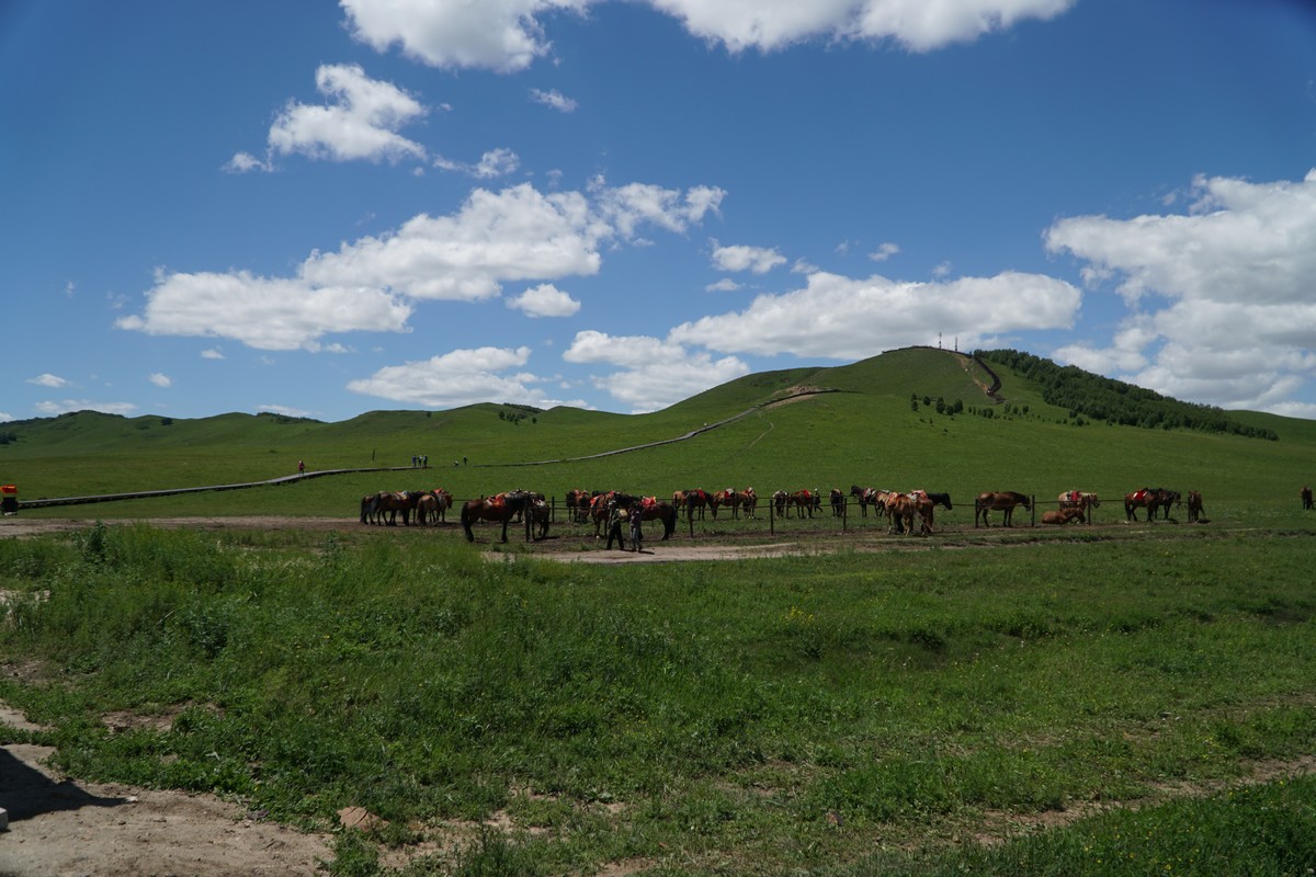 51吃瓜暗网黄网 对相关现象进行警示说明