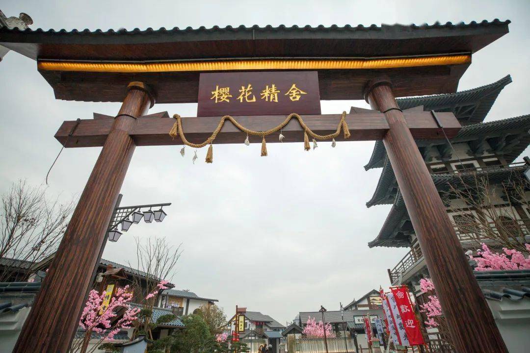 国产精品国产精品国产专区不卡