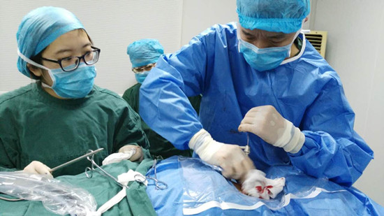 51大赛今日吃瓜必吃