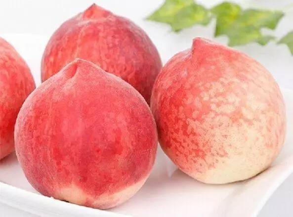 男同 h 为了更准确地为您提供帮助