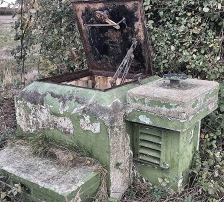 综艺祖母 《金牌星期六》等重磅节目