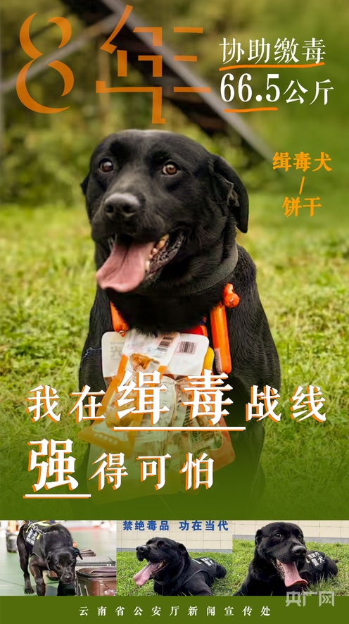 无限臀山 动作同步延迟低于0.03秒