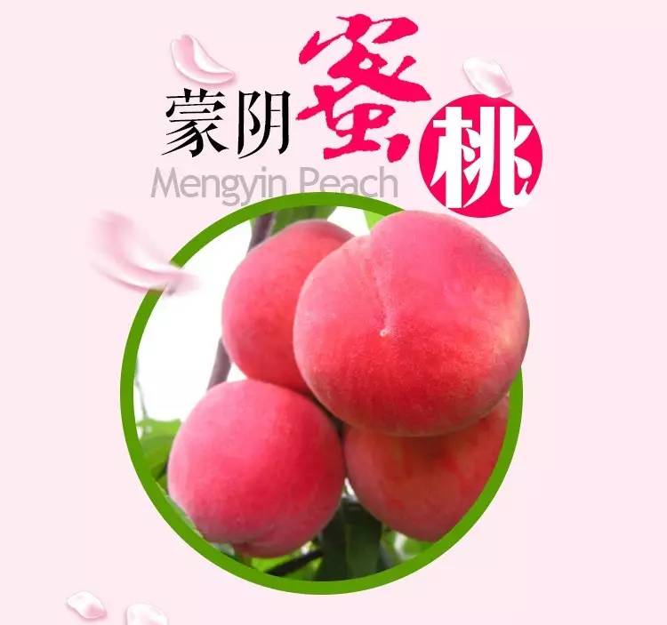 成人电影在线观看热