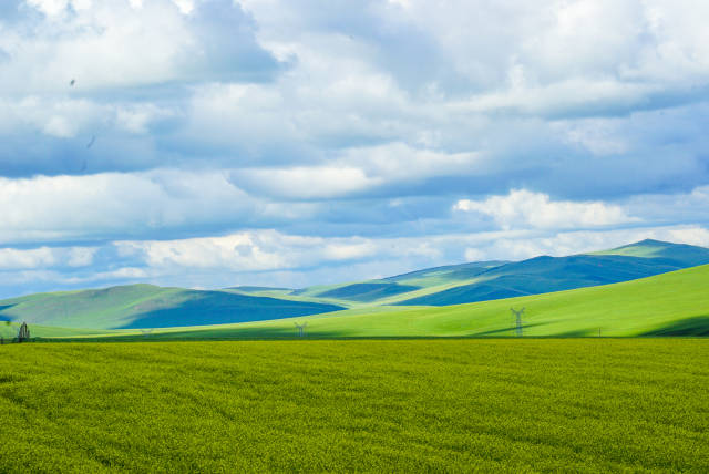 精东影业苏妲己