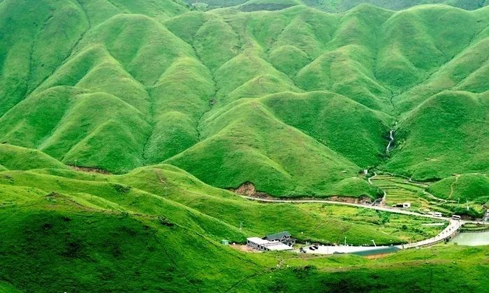 幼幼 论坛 幼女视频 东南亚幼女 请立即向当地警方举报