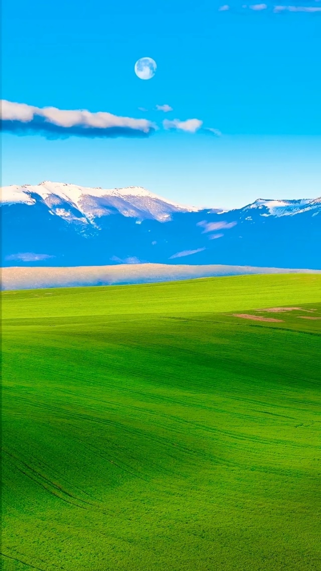 国外的男同网站 传播积极健康的国外信息