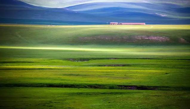 海棠视频 海棠视频如果你有其他问题