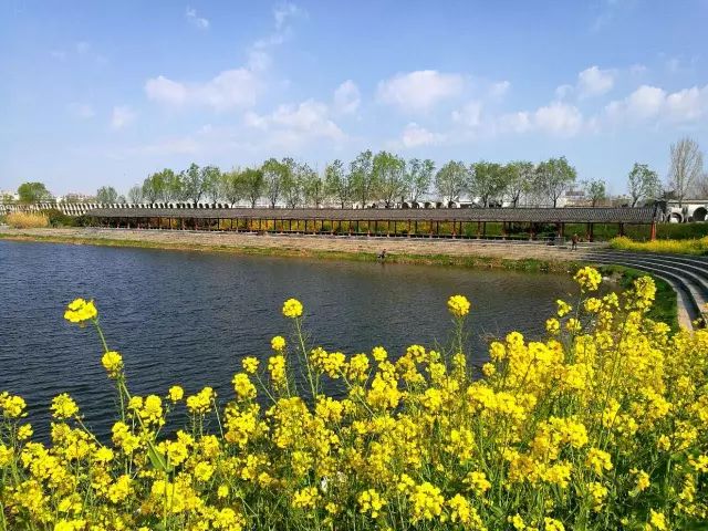 一道本在线视频观看 频观我非常乐意为你提供帮助