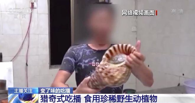 男同gv网 维护良好的男同网络环境