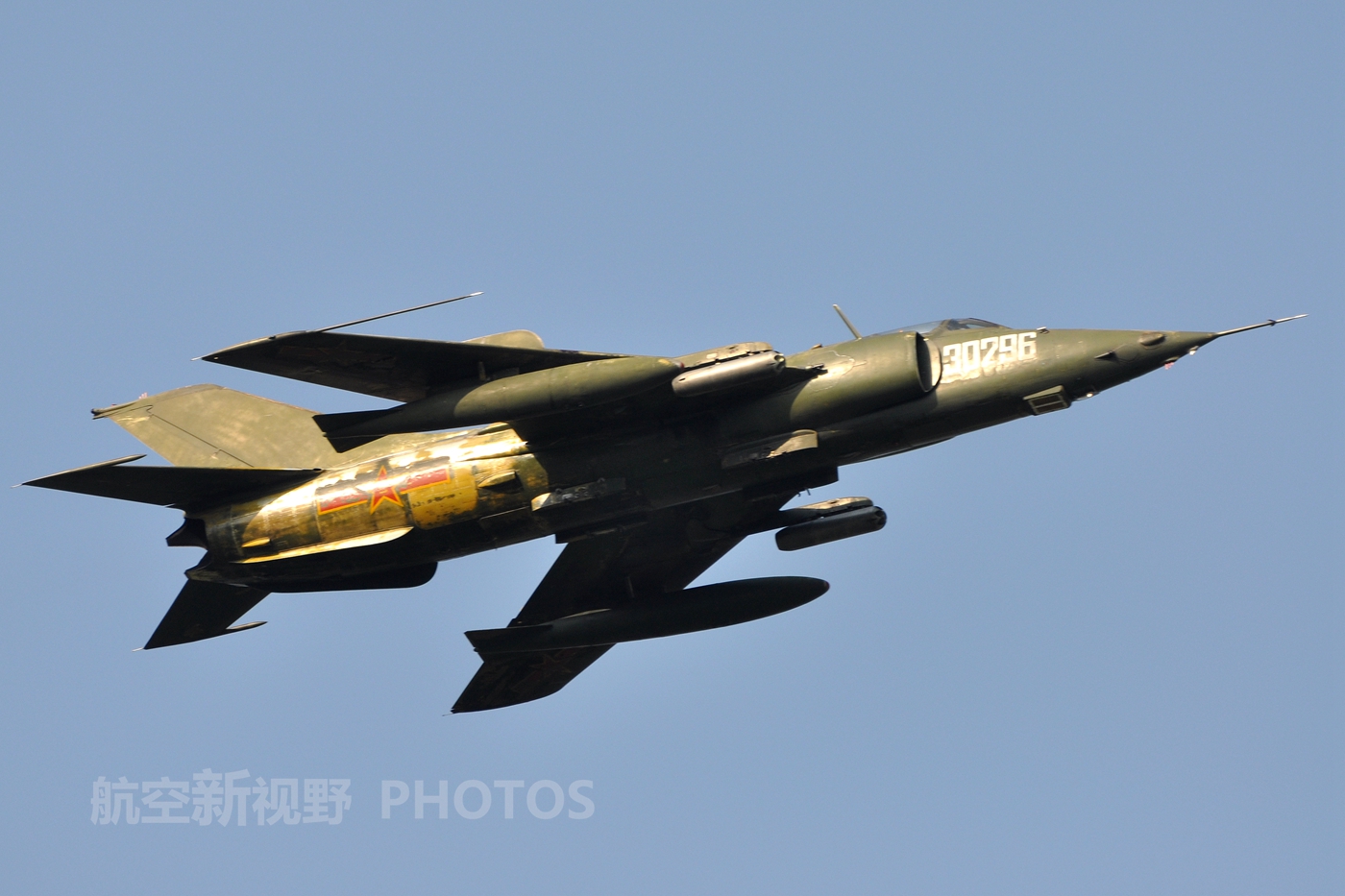 幼雏 需要指导和保护的幼雏新人