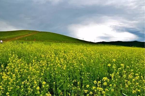 视+频 视频为了能更好地帮助你