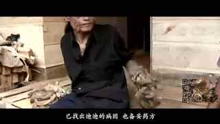 轻置臀山 “稳坐如山”：传统成语