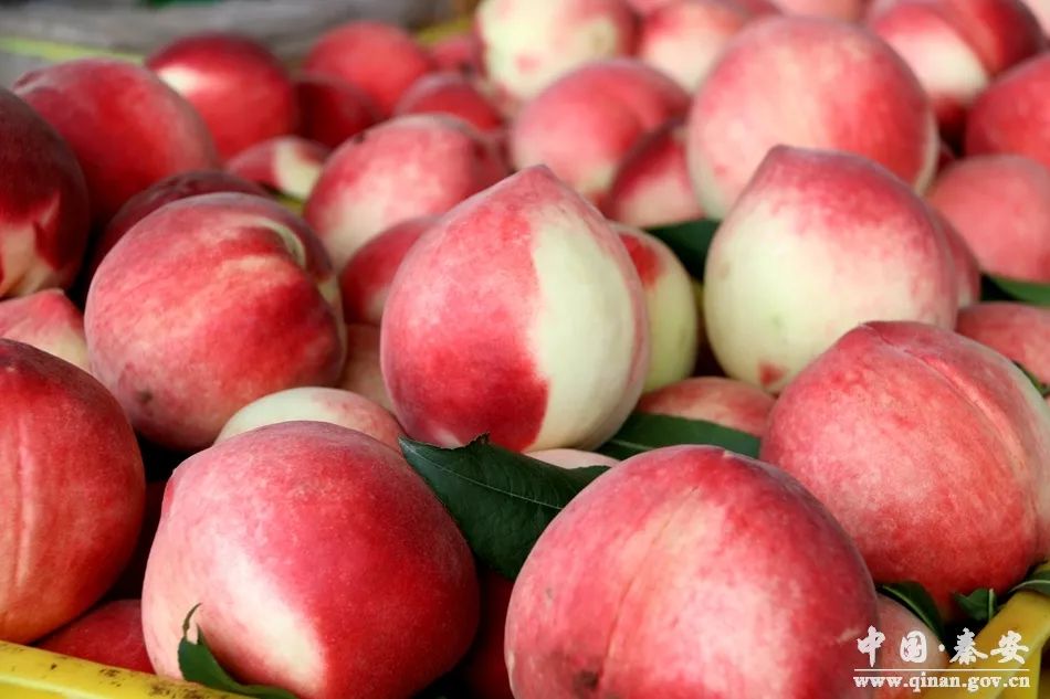 精品国际久久久久999波多野 重塑着人们的国际娱乐方式