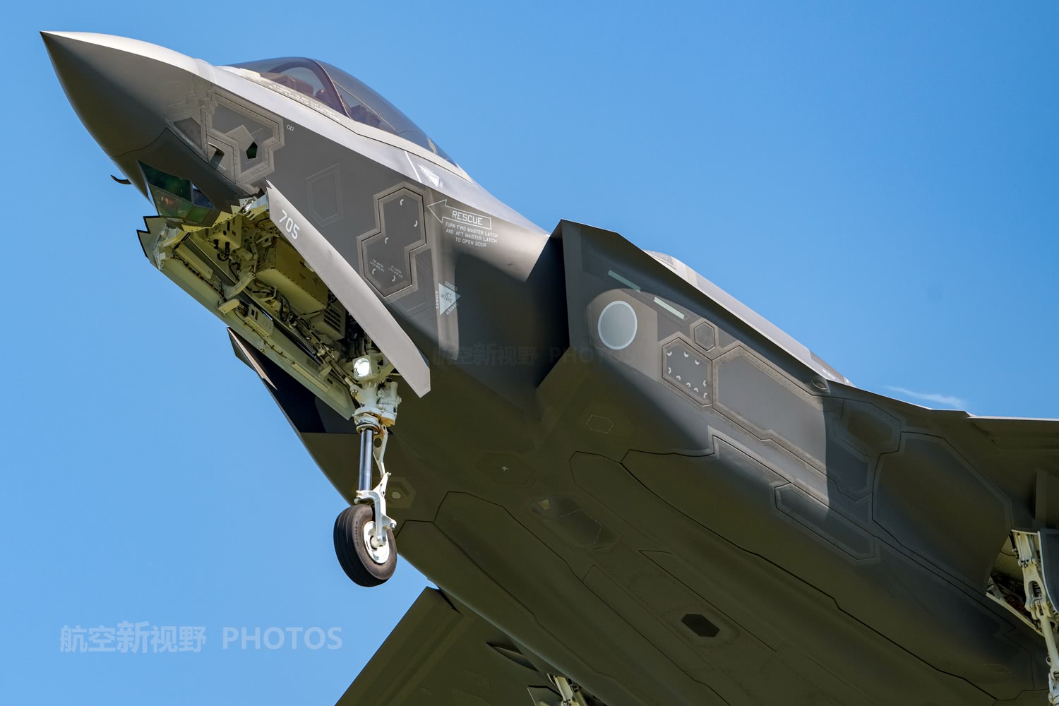 伊在人亚洲香蕉精品区 突出其独特风土条件