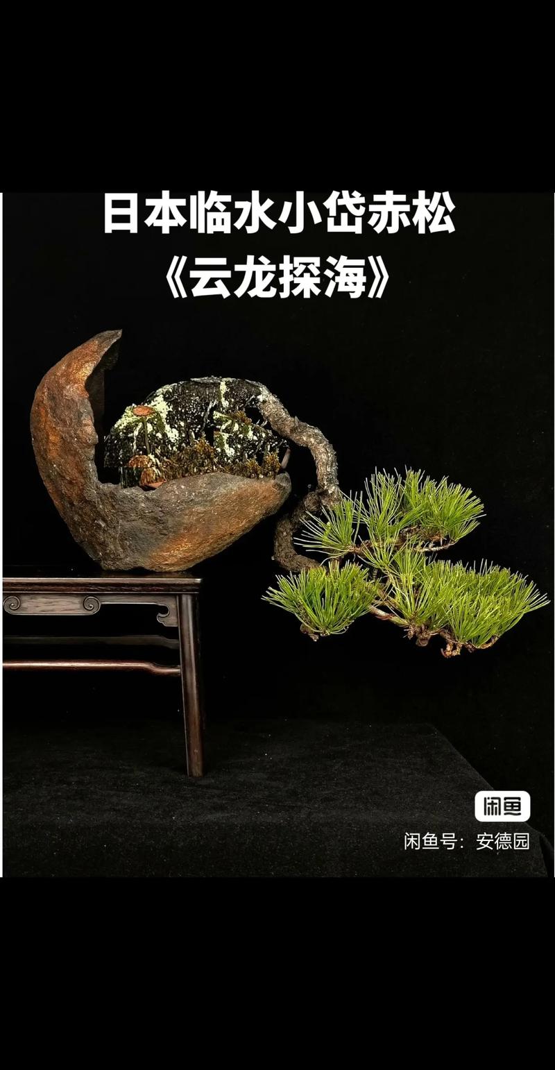 长清大学aj完整版视频 长清总时长达到180分钟