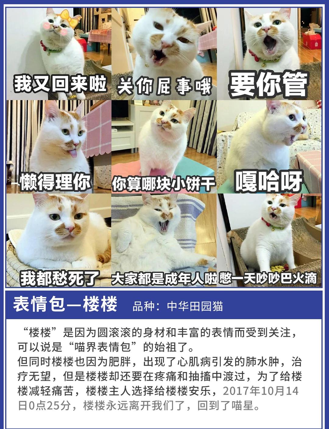 迷视频 对于来路不明的迷视频应用